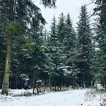 Beskid Wood Chalet