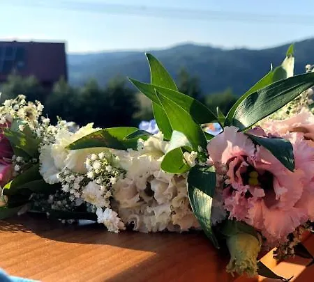 Beskid Wood Jasnowice