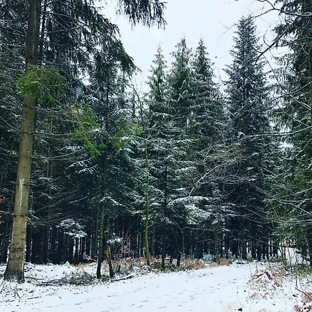 Beskid Wood Chalet