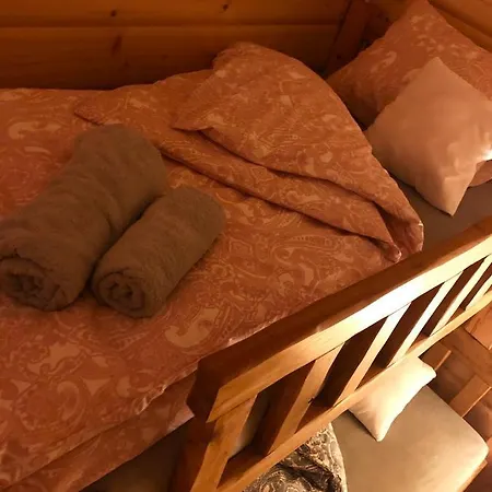 Beskid Wood Chalet *