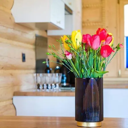 شاليه Beskid Wood *