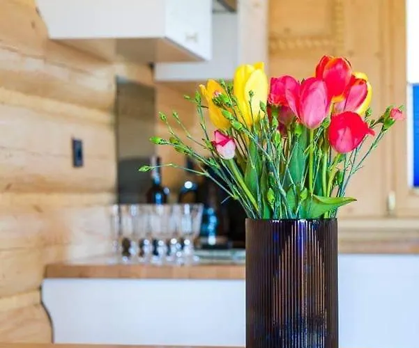 Chalet Beskid Wood *